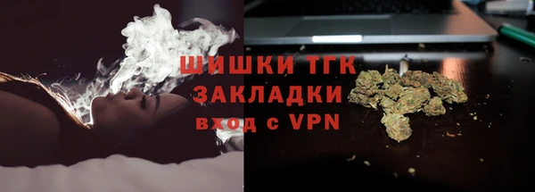 молекула духа Надым