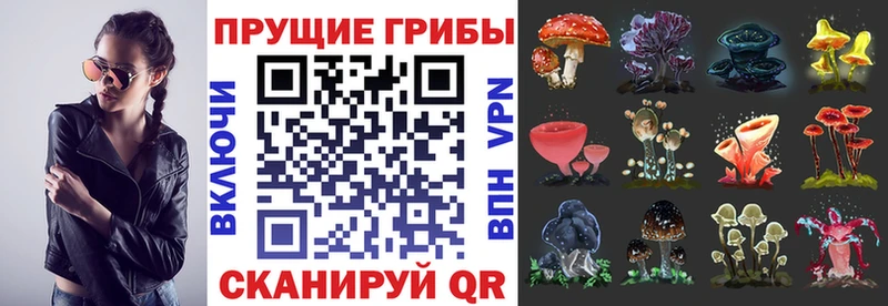 Галлюциногенные грибы мицелий  даркнет сайт  Ангарск 